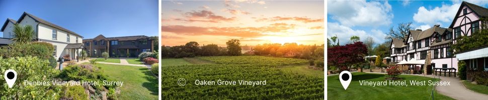 Vineyards and Vineyard Hotel images across South East England